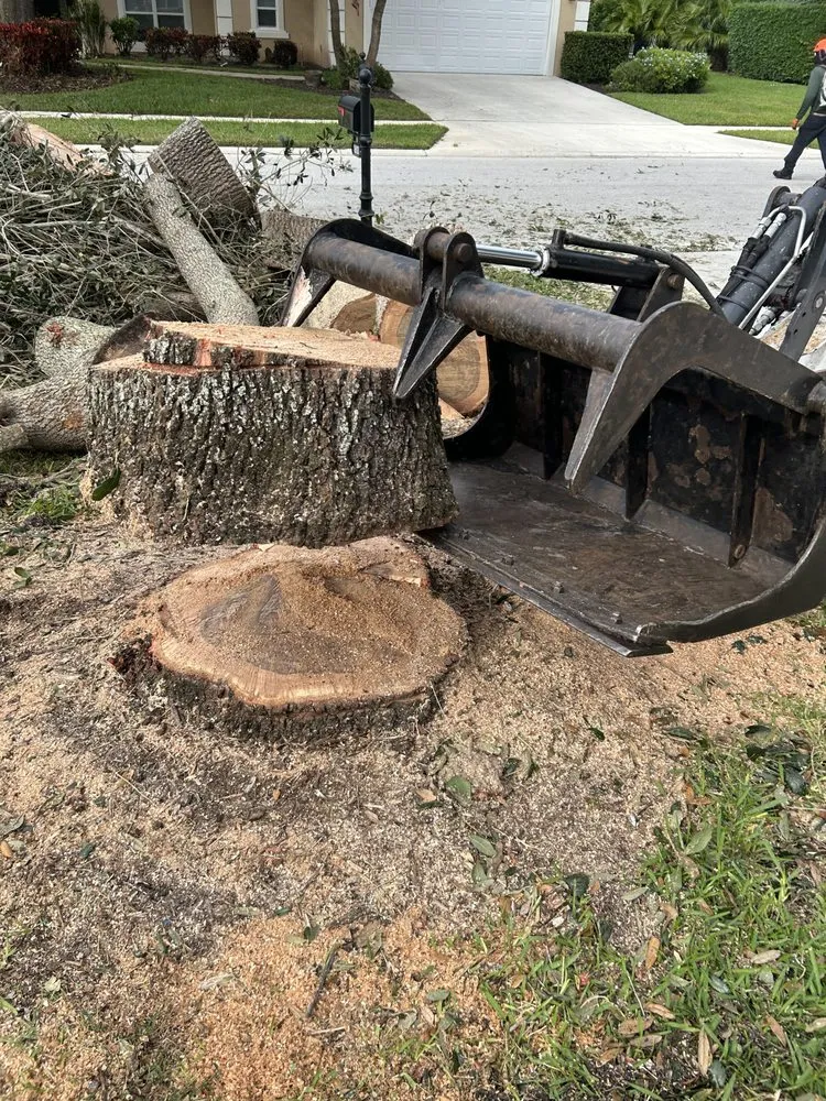 Local lawn mowing service experts serving Palm Beach Gardens, FL - Stump It