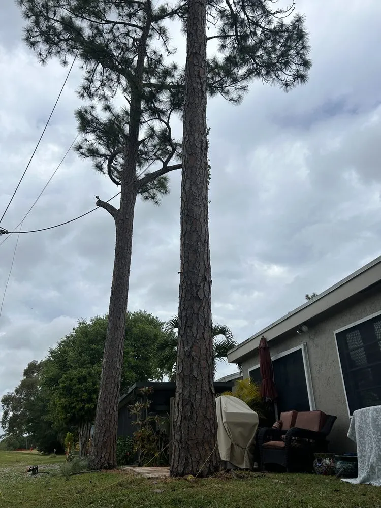 Trusted lawn care service in Palm Beach Gardens, FL - Stump It