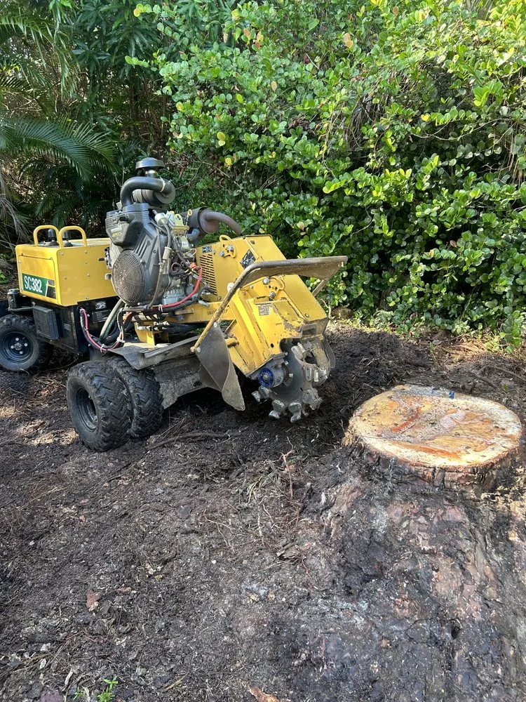 Reliable landscape design experts serving Palm Beach Gardens, FL - Stump It