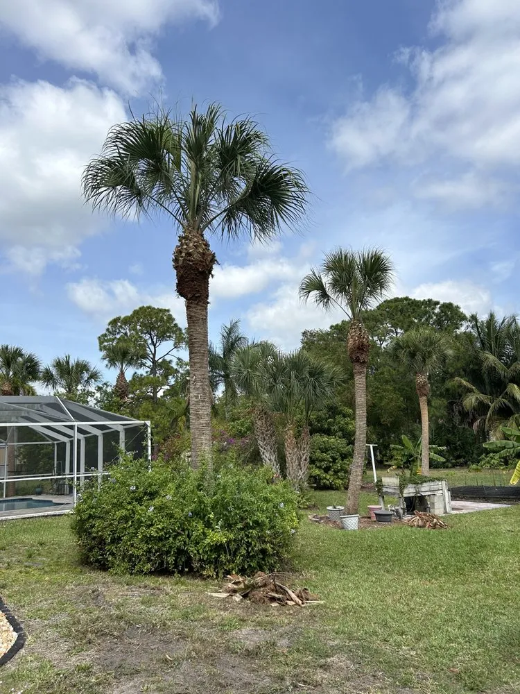 Top-rated yard cleanup service experts serving Palm Beach Gardens, FL - Stump It