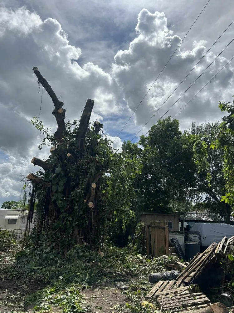 Reliable lawn mowing service with custom design across Palm Beach Gardens, FL - Stump It