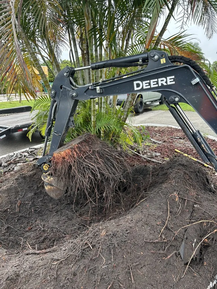 Professional landscape installation for residential properties across Palm Beach Gardens, FL - Stump It