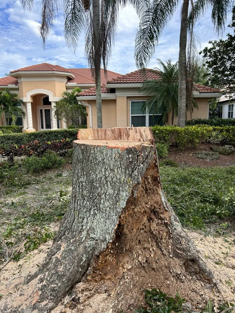 Expert landscaping services for beautiful yards in Palm Beach Gardens, FL by Stump It