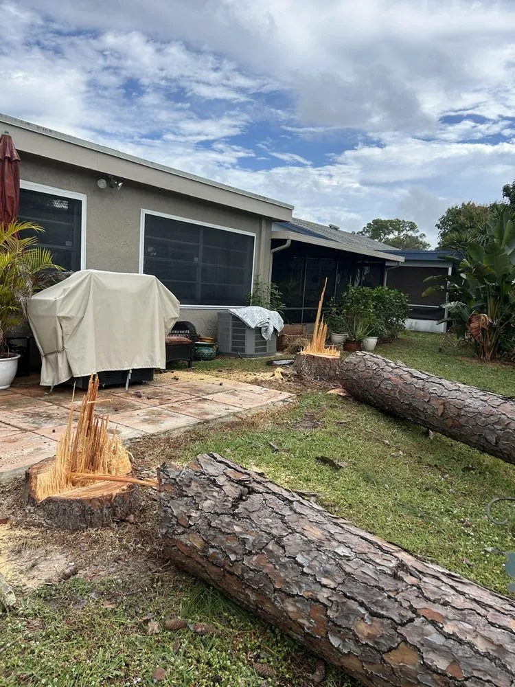 Custom yard maintenance experts serving Palm Beach Gardens, FL - Stump It