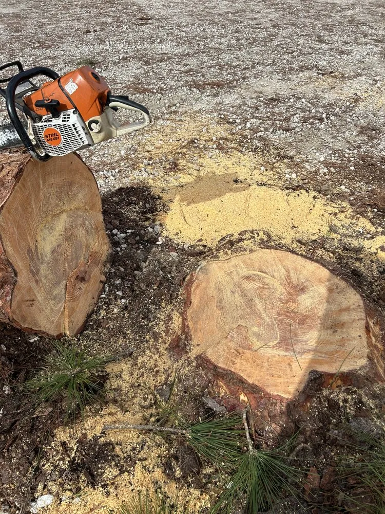 Top-rated outdoor landscaping in Palm Beach Gardens, FL - Stump It