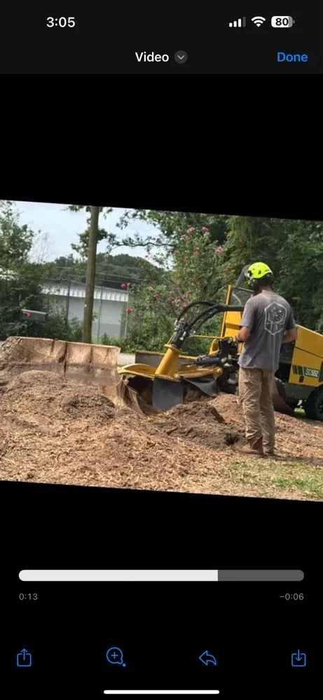 Custom landscape installation experts serving Ville Platte, LA - Stump Jumpers