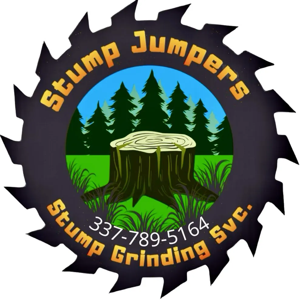 Reliable yard cleanup service in Ville Platte, LA - Stump Jumpers