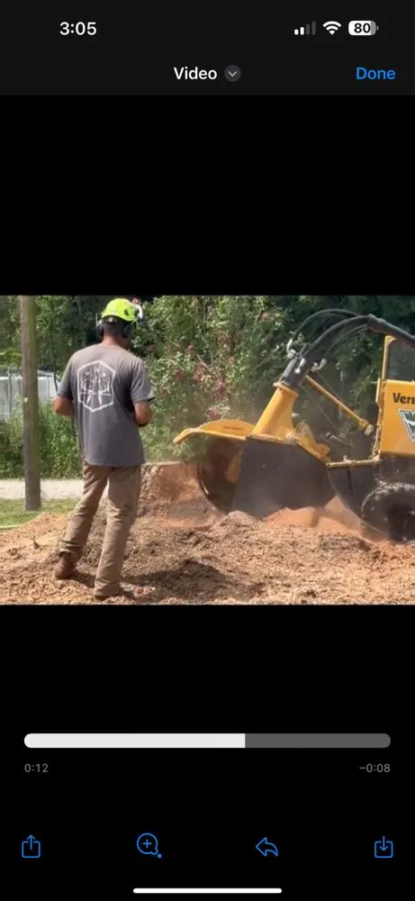 Top-rated landscape installation for residential properties in Ville Platte, LA by Stump Jumpers