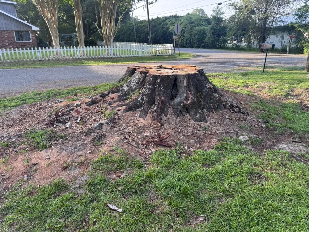 Professional residential landscaping near you in Ville Platte, LA by Stump Jumpers