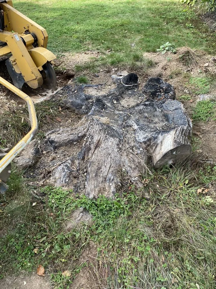 Trusted yard maintenance for outdoor upgrades in Rocky Hill, CT by Stump Master