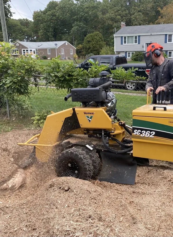 Expert residential landscaping for beautiful yards across Rocky Hill, CT - Stump Master