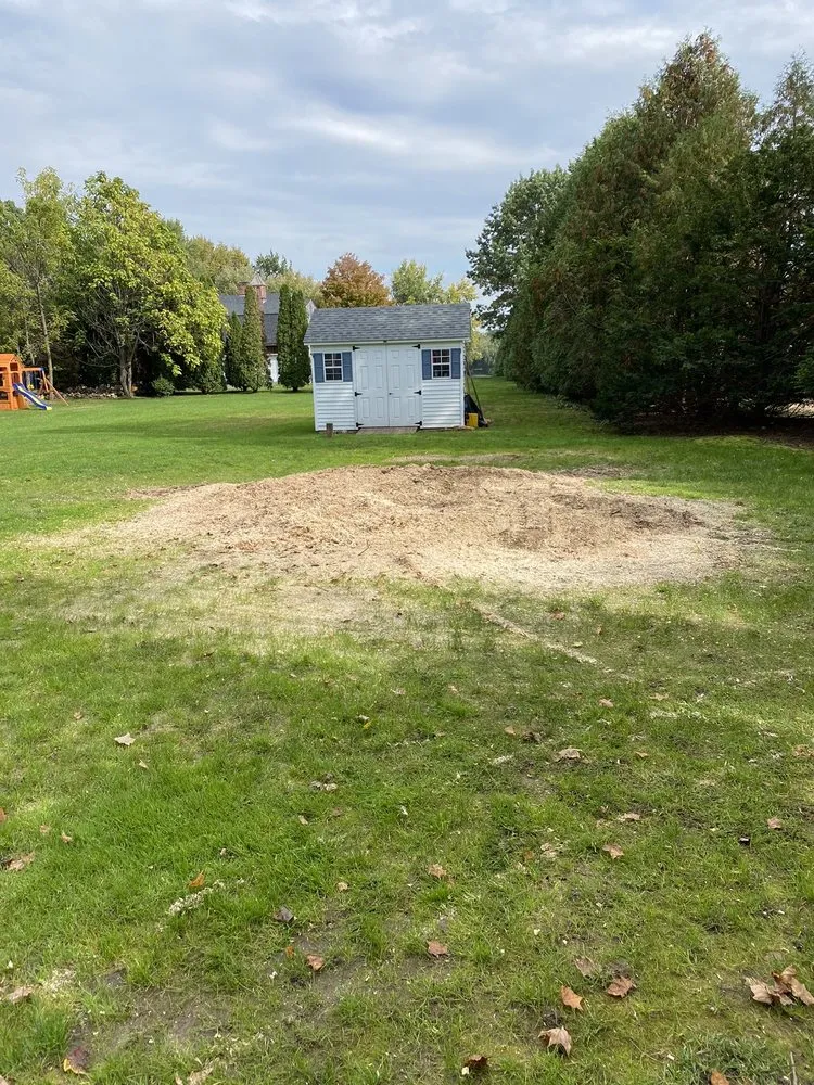 Professional lawn care service for homes across Rocky Hill, CT - Stump Master