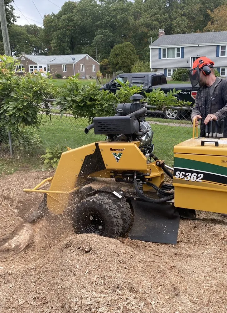 Trusted outdoor landscaping for residential properties across Rocky Hill, CT - Stump Master