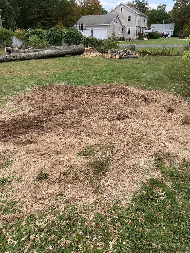 Affordable lawn mowing service for year-round maintenance in Rocky Hill, CT by Stump Master