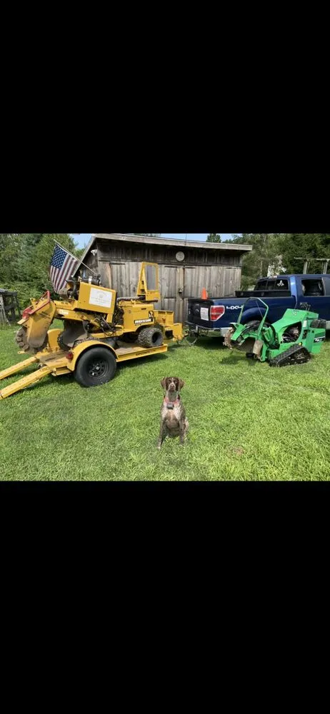 Reliable yard cleanup service experts serving West Bradford Township, PA - Stump Master