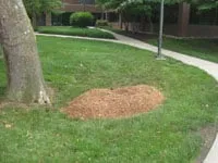 Top-rated residential landscaping near you across Wayne, PA - Stump Munchers
