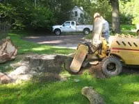 Reliable yard maintenance experts serving Wayne, PA - Stump Munchers