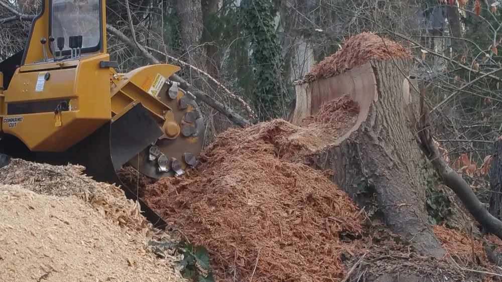 Top-rated yard maintenance in Wayne, PA - Stump Munchers