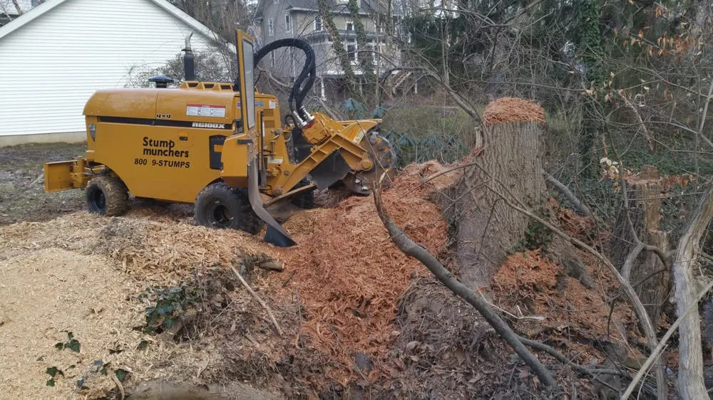 Top-rated lawn care service in Wayne, PA - Stump Munchers
