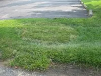 Top-rated landscape installation in Wayne, PA - Stump Munchers
