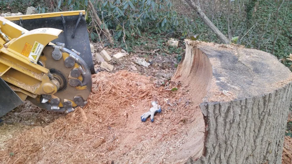 Reliable garden landscaping experts serving Wayne, PA - Stump Munchers