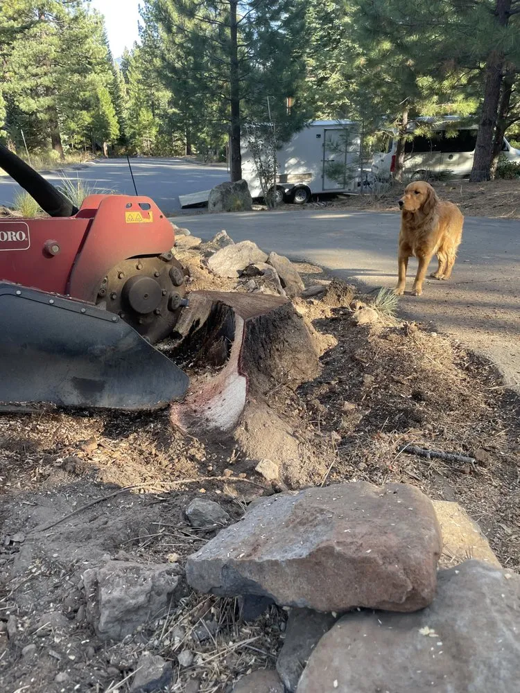 Professional lawn mowing service in Truckee, CA - Stump 'n' Grind
