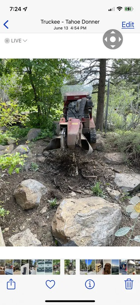 Professional landscape design experts serving Truckee, CA - Stump 'n' Grind