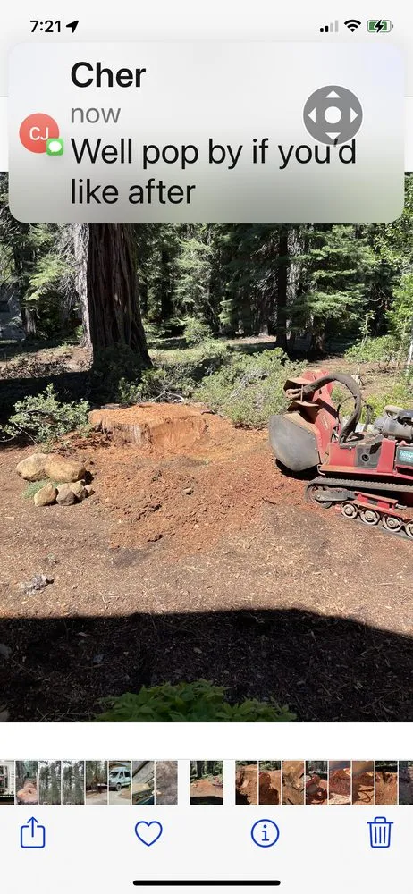Affordable outdoor landscaping experts serving Truckee, CA - Stump 'n' Grind