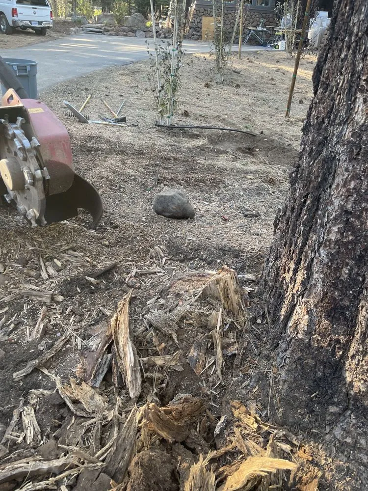 Expert landscape design experts serving Truckee, CA - Stump 'n' Grind