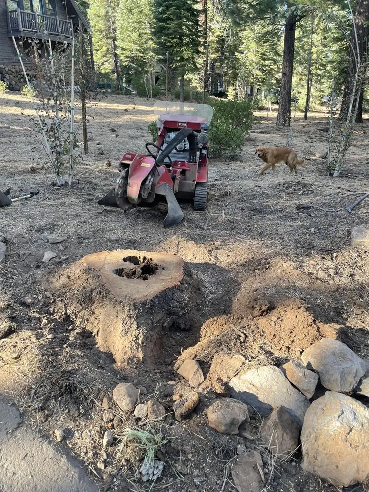 Affordable landscaping services in Truckee, CA - Stump 'n' Grind