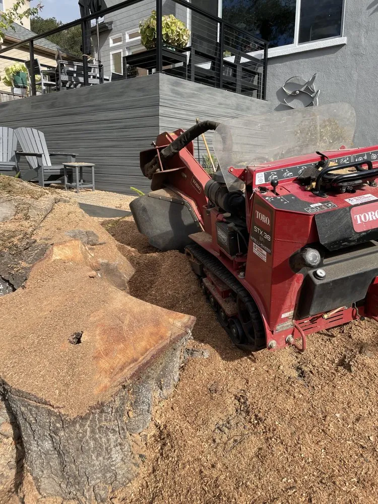 Local landscape design experts serving Truckee, CA - Stump 'n' Grind
