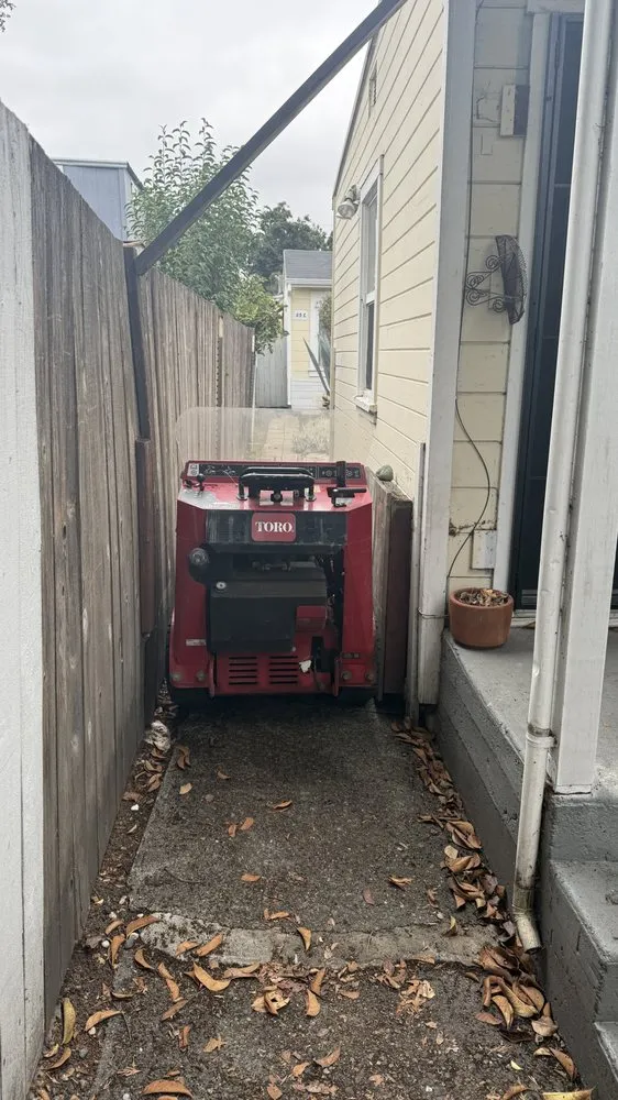 Professional yard cleanup service in Truckee, CA by Stump 'n' Grind