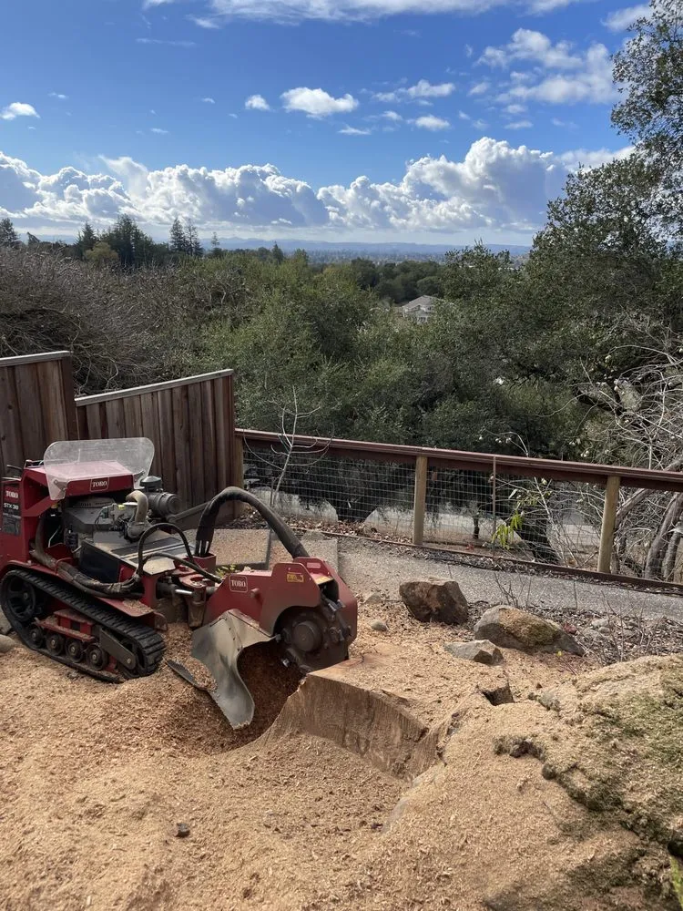 Affordable garden landscaping for beautiful yards across Truckee, CA - Stump 'n' Grind