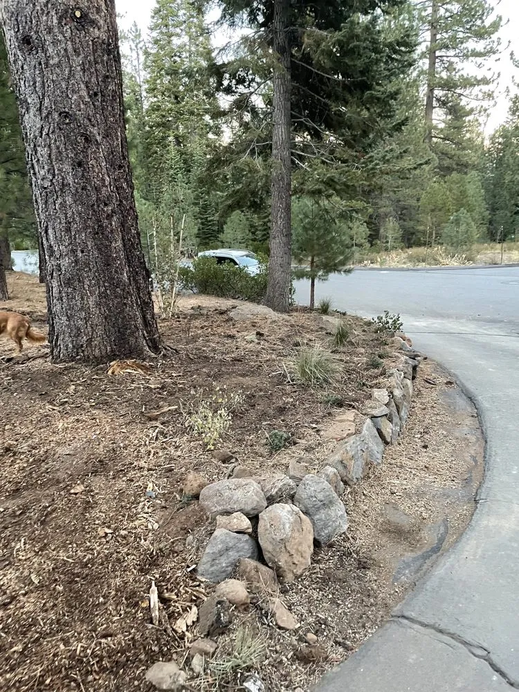 Top-rated yard maintenance experts serving Truckee, CA - Stump 'n' Grind