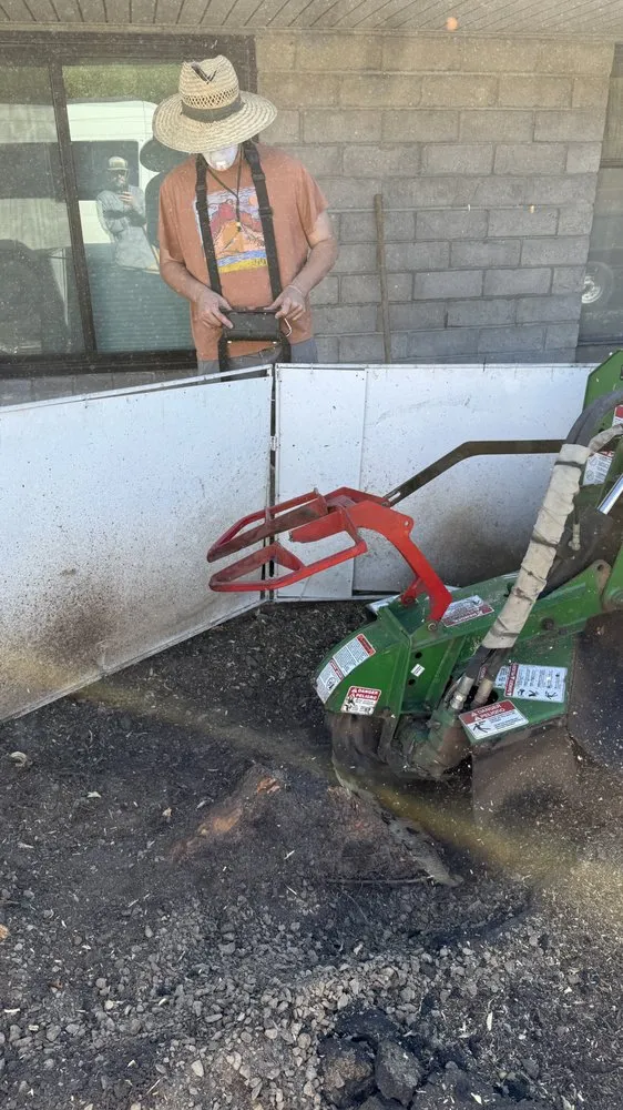 Professional yard maintenance in Truckee, CA - Stump 'n' Grind