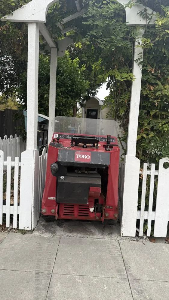 Trusted yard cleanup service experts serving Truckee, CA - Stump 'n' Grind