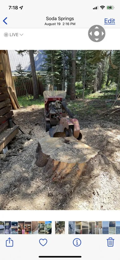 Trusted landscape design experts serving Truckee, CA - Stump 'n' Grind