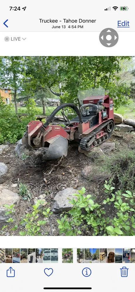 Trusted yard maintenance in Truckee, CA by Stump 'n' Grind