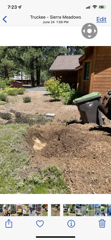 Affordable landscaping services for homes across Truckee, CA - Stump 'n' Grind