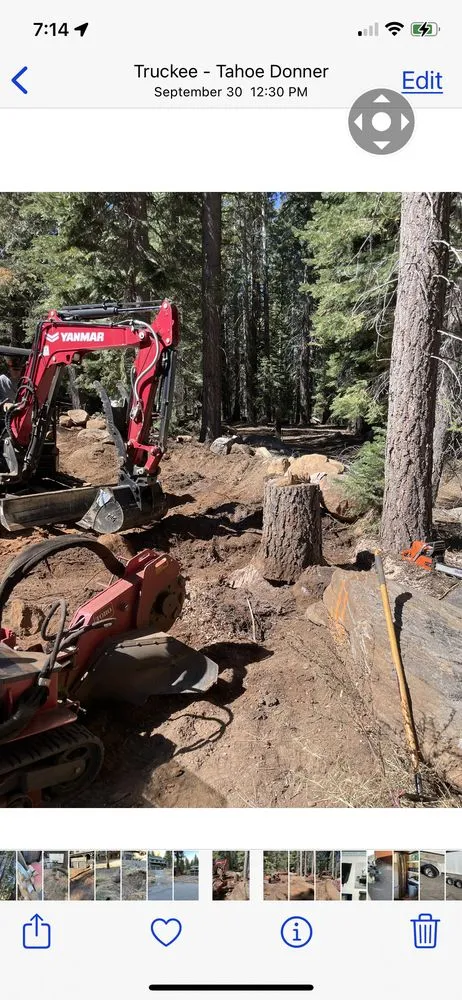 Reliable yard maintenance experts serving Truckee, CA - Stump 'n' Grind