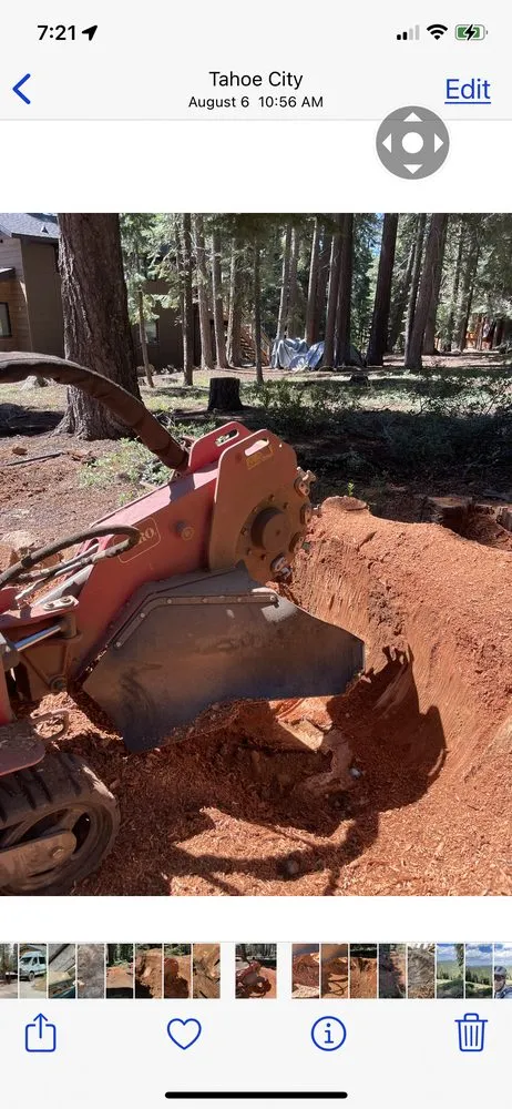 Professional yard cleanup service for outdoor upgrades in Truckee, CA by Stump 'n' Grind