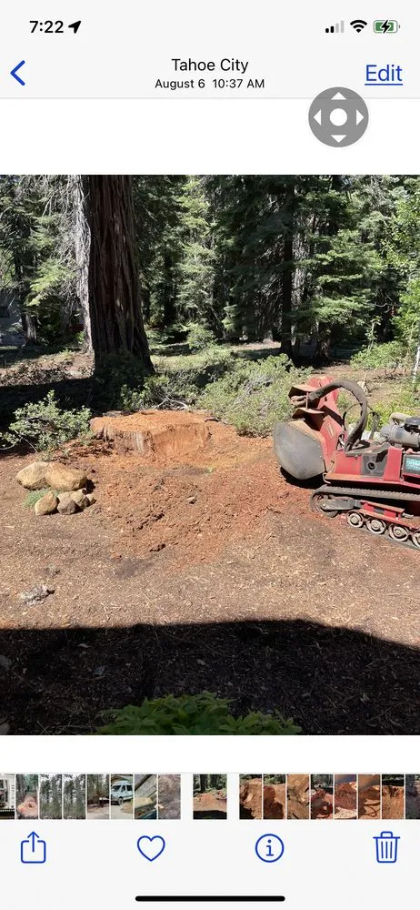 Top-rated landscape design in Truckee, CA by Stump 'n' Grind