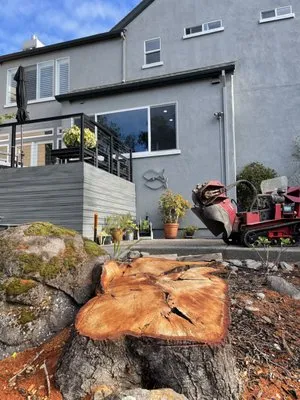 Stump 'n' Grind Logo