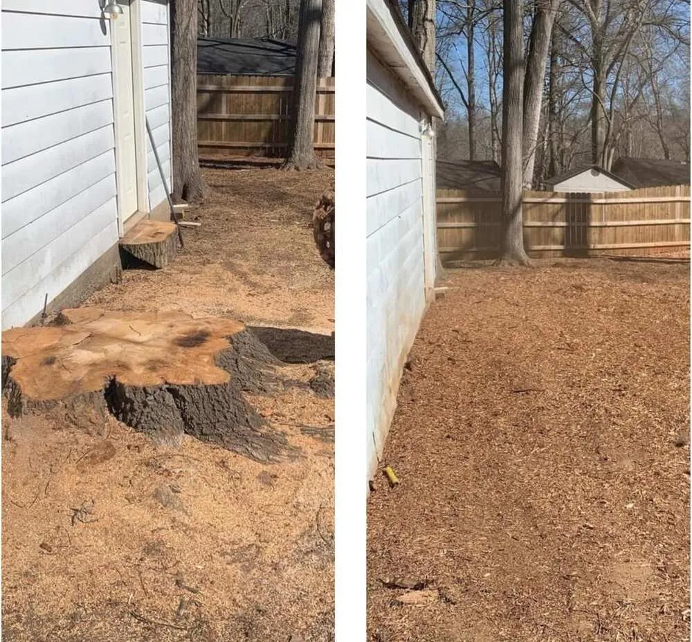 Reliable outdoor landscaping experts serving Sugar Hill, GA - Stump N Turf