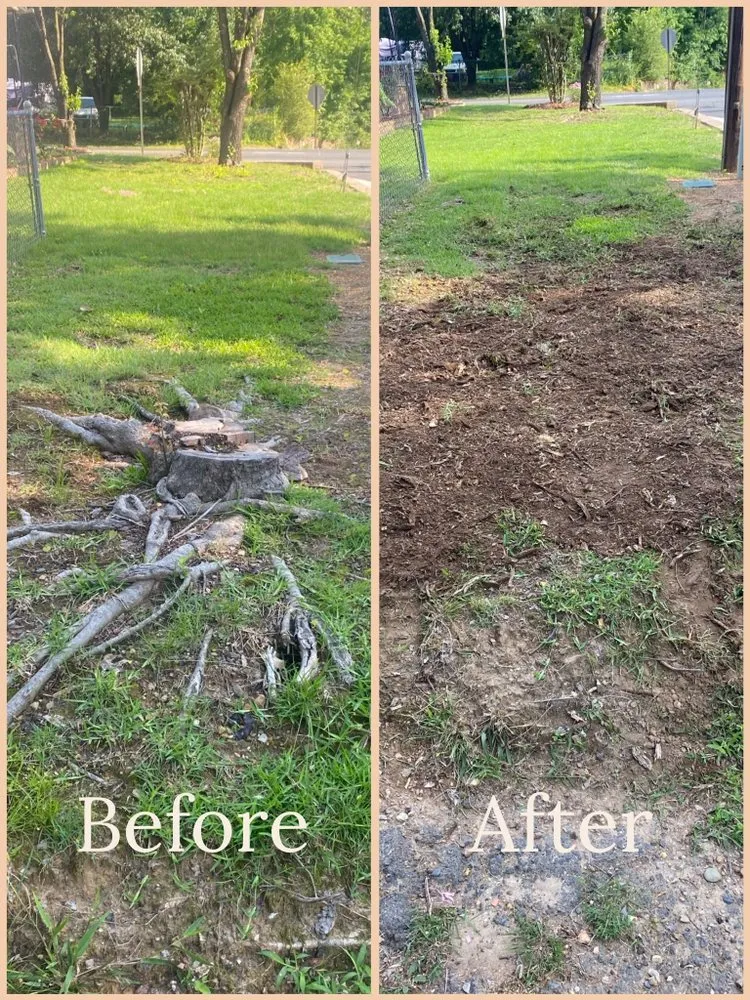 Reliable landscape installation for outdoor upgrades across Hot Springs, AR - Stump Pro Grinding