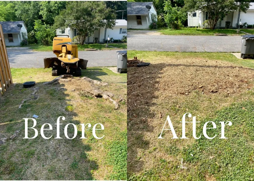 Expert landscape design for residential properties in Hot Springs, AR by Stump Pro Grinding