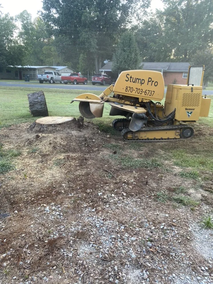 Expert yard cleanup service for residential properties in Hot Springs, AR by Stump Pro Grinding