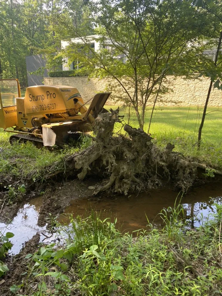 Affordable residential landscaping experts serving Hot Springs, AR - Stump Pro Grinding