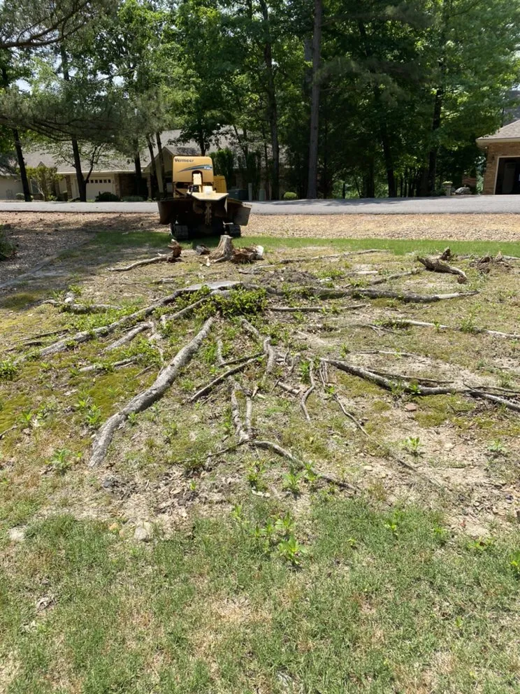 Reliable yard cleanup service in Hot Springs, AR - Stump Pro Grinding