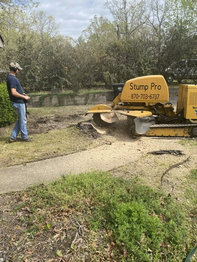 Top-rated garden landscaping experts serving Hot Springs, AR - Stump Pro Grinding